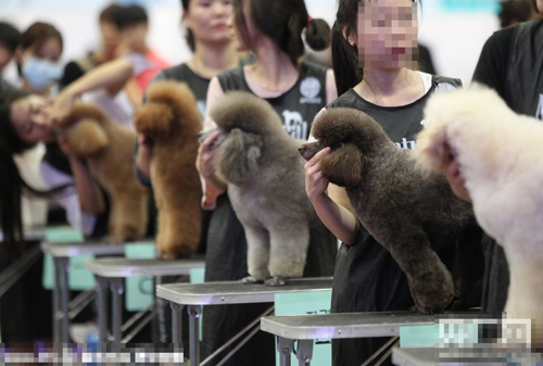 undefined{{pos:,w:,h:}}