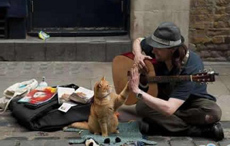 今天挣了不少钱，庆祝下...