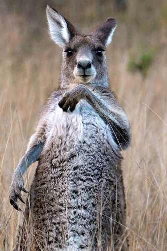 undefined{{pos:,w:,h:}}