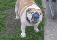 给大家表演个绝活吧，走你