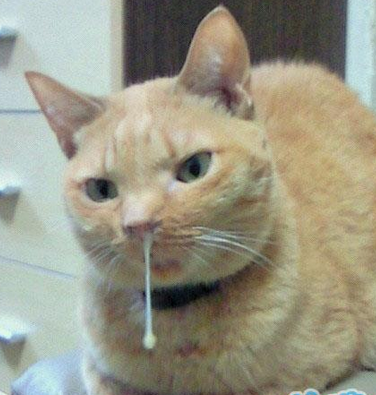 换季了有点感冒，笑死我了