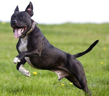 undefined{{pos:,w:,h:}}