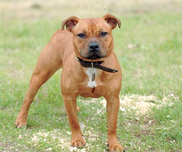 undefined{{pos:,w:,h:}}