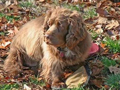 undefined{{pos:,w:,h:}}