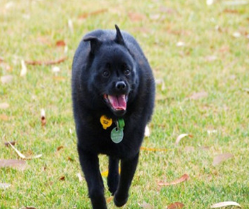 undefined{{pos:,w:,h:}}