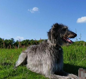 undefined{{pos:,w:,h:}}