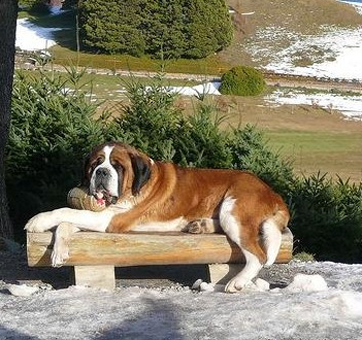 undefined{{pos:,w:,h:}}