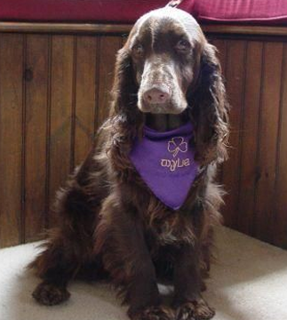 undefined{{pos:,w:,h:}}