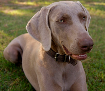 undefined{{pos:,w:,h:}}