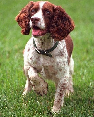 undefined{{pos:,w:,h:}}