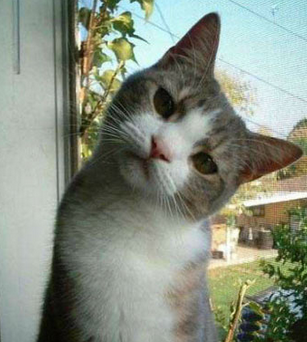 你在看着我干嘛呢