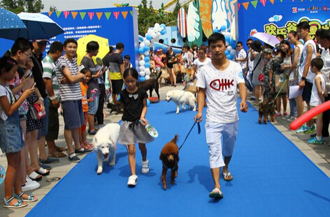 成都欢乐谷举行宠物狂欢party 狗狗撒欢日 