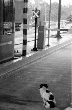 undefined{{pos:,w:,h:}}