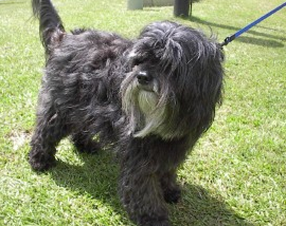 undefined{{pos:,w:,h:}}