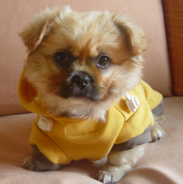 undefined{{pos:,w:,h:}}