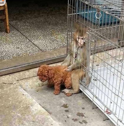 动物们的百态生活写照