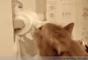 败家的玩意儿！纸巾上辈子是跟你有仇吧