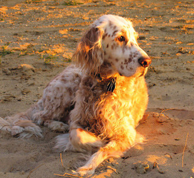 undefined{{pos:,w:,h:}}