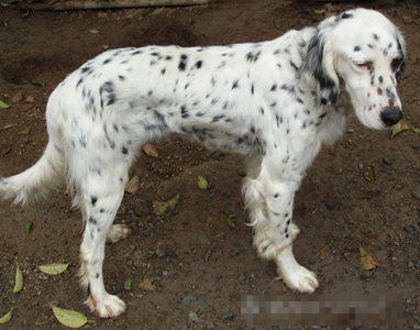 undefined{{pos:,w:,h:}}