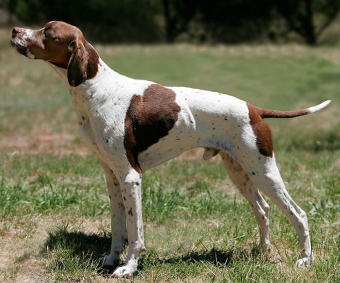 undefined{{pos:,w:,h:}}