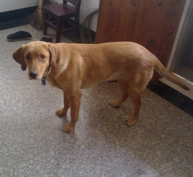 undefined{{pos:,w:,h:}}