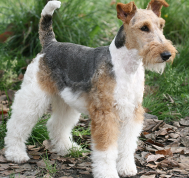 undefined{{pos:,w:,h:}}