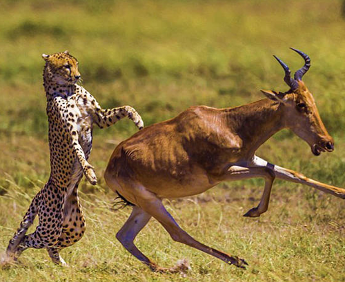 undefined{{pos:,w:,h:}}