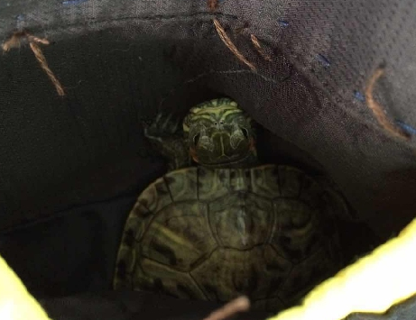 undefined{{pos:,w:,h:}}