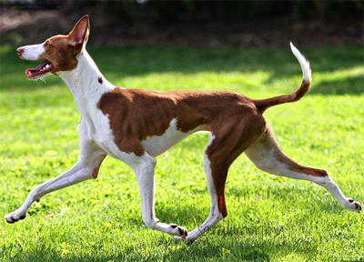 undefined{{pos:,w:,h:}}