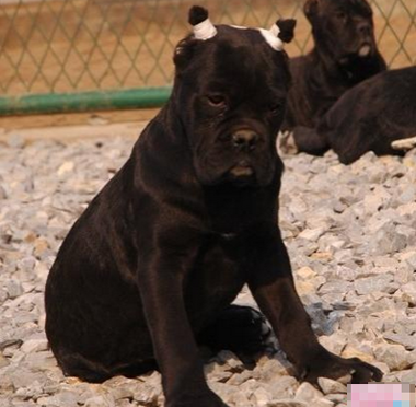 undefined{{pos:,w:,h:}}