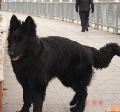 undefined{{pos:,w:,h:}}