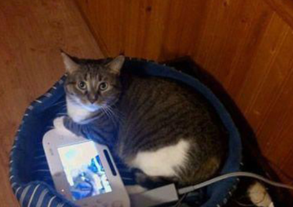 这就是你给我买的玩具