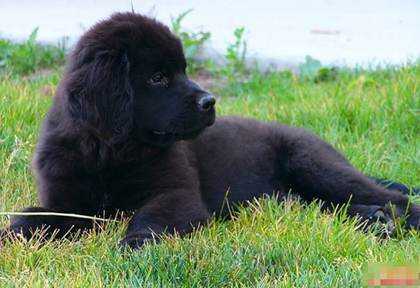 undefined{{pos:,w:,h:}}