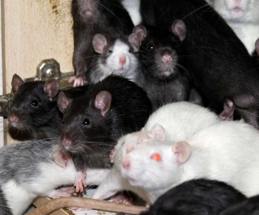 undefined{{pos:,w:,h:}}