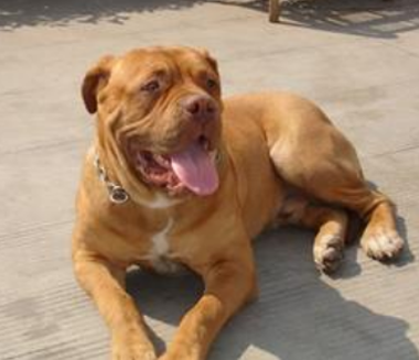 undefined{{pos:,w:,h:}}