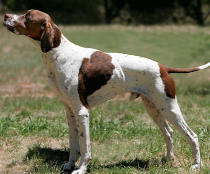 undefined{{pos:,w:,h:}}