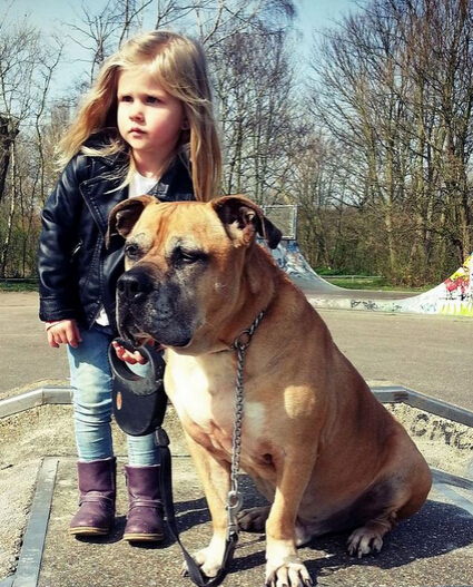 父亲拍下女儿与狗狗亲密瞬间照片 网友：好暖心