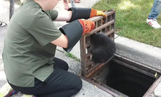 undefined{{pos:,w:,h:}}