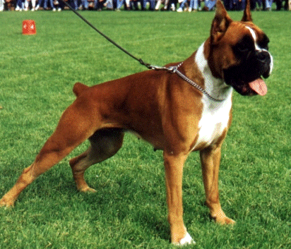 undefined{{pos:,w:,h:}}