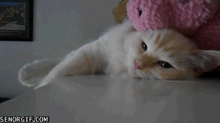 来大姨妈这几天，女生的心情大概就是这样