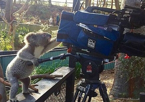 undefined{{pos:,w:,h:}}