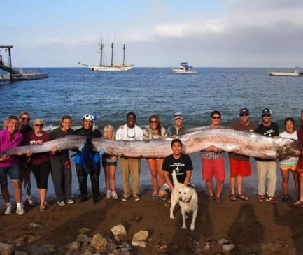 这条大鱼应该够你们一家人吃的了
