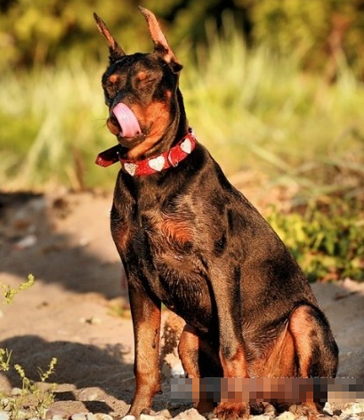 undefined{{pos:,w:,h:}}