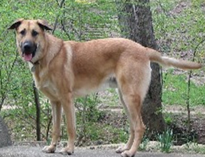 undefined{{pos:,w:,h:}}