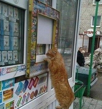 有人吗，买点东西