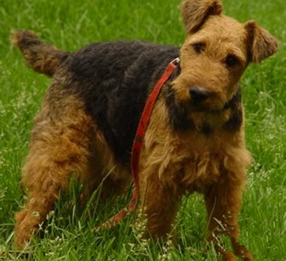 undefined{{pos:,w:,h:}}