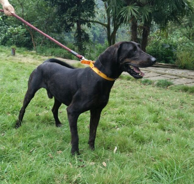 undefined{{pos:,w:,h:}}