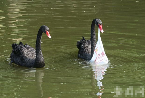 undefined{{pos:,w:,h:}}