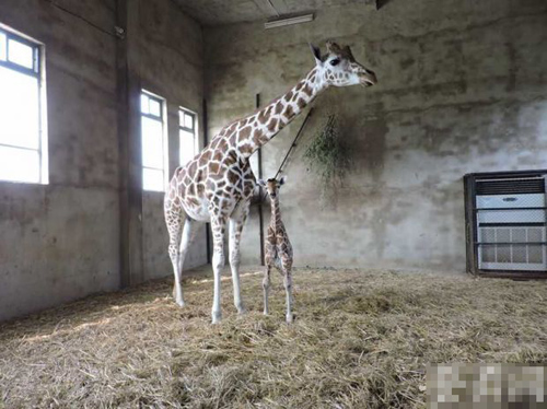 undefined{{pos:,w:,h:}}