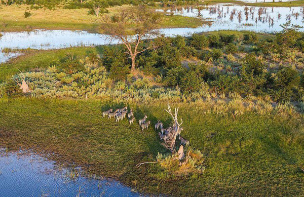 undefined{{pos:,w:,h:}}